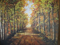 Caminho De Outono